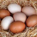 A Picture of some eggs